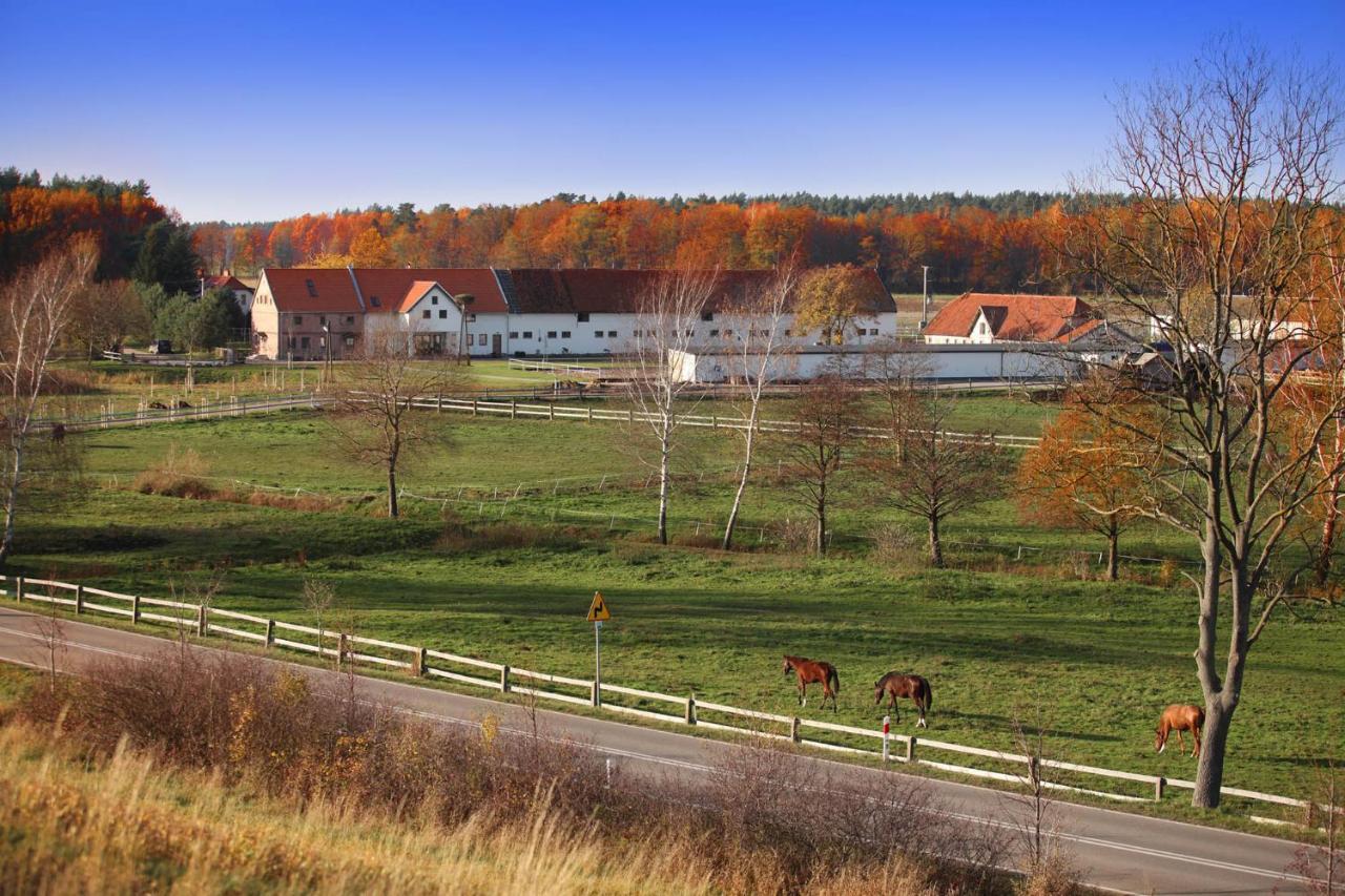 Farm stay Stajnia Lipnik Kadyny