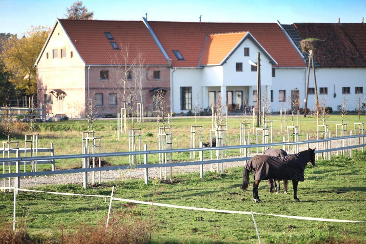 Stajnia Lipnik Farm stay