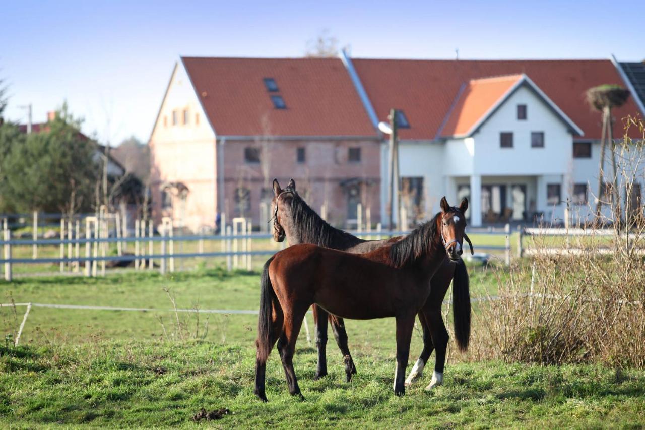 Stajnia Lipnik Farm stay Kadyny